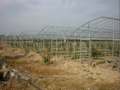 源農溫室 專業溫室大棚銷售、安裝與維修服務